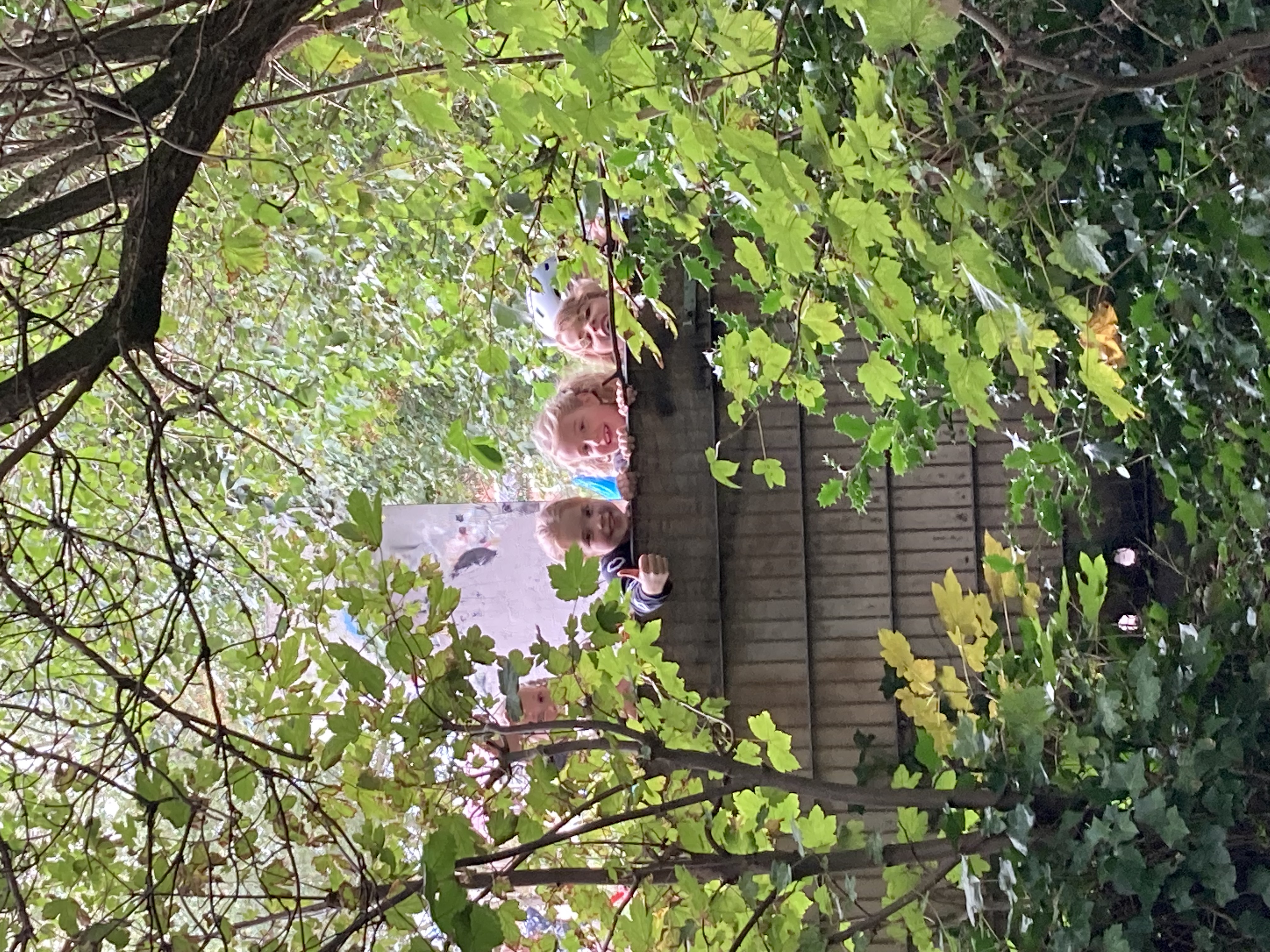 Skatepark (beloning)